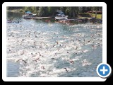 Swimmers take to the water